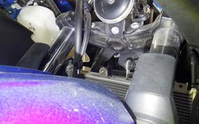 KAWASAKI NINJA 250 EX250P