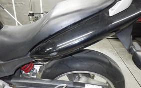 HONDA HORNET 250 2024 MC31