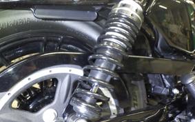 HARLEY XL1200XS 2020