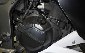 KAWASAKI Z250 2020 ER250C