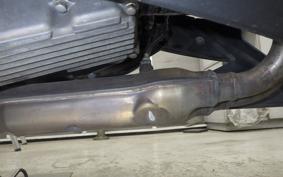 KAWASAKI Z250 2025 ER250C