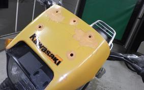 KAWASAKI SUPER SHERPA 2016 KL250G