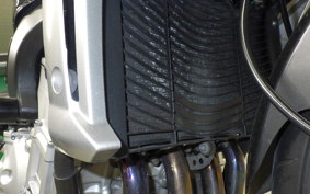 YAMAHA FZ1 FAZER 2008 RN21J