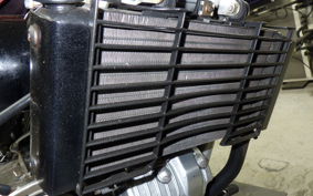 HONDA MAGNA 250 1999 MC29