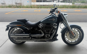 HARLEY FLFBS 2025 YGK