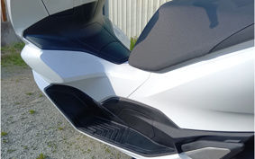 SUZUKI GLADIUS650 ABS 2017 CX112