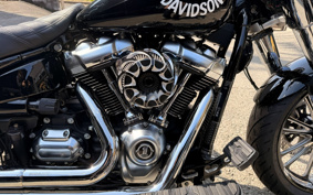 HARLEY FLFBS 2018 YGK