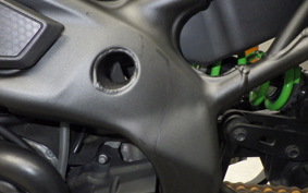 KAWASAKI ZX-4RR 2023 ZX400P