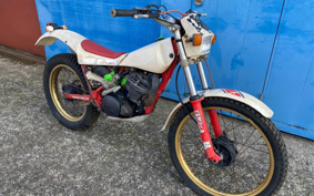 YAMAHA TY250 SCOTTISH 53Y