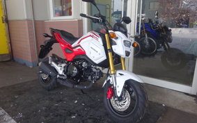 HONDA GROM JC75