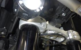 TRIUMPH TIGER 1200 GT PRO 2024