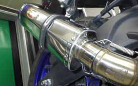YAMAHA YZF-R25 2015 RG43J