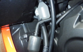 KAWASAKI ZX 1400 NINJA R A 2014