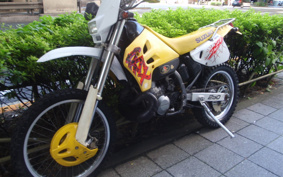 SUZUKI RMX250 S SJ13A