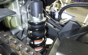 KAWASAKI NINJA 250 2 2003 EX250P