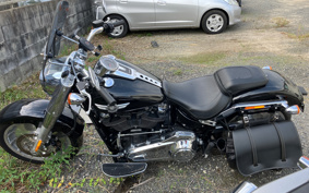 HARLEY  HARLEY FLFBS 2021 YGK