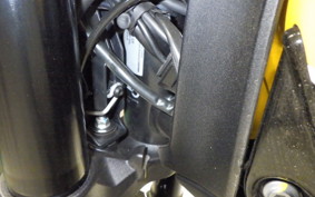 DUCATI SCRAMBLER FULL THROTTLE 2019