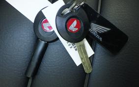 HONDA MONKEY 125 JB03