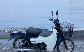 SUZUKI  NEW 聞 BIRDIE 50 BA43A