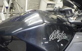 KAWASAKI NINJA 250 2025 EX250L