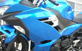 KAWASAKI NINJA 250 ABS EX250P