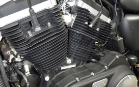 HARLEY XL883N 2013