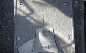 HONDA ZOOMER 2005 AF58