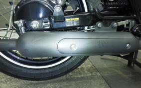 KAWASAKI W800 2018 EJ800A