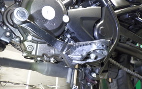 HONDA REBEL 250 A 2023 MC49