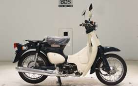 HONDA LITTLE CUB E AA01