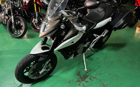 MV AGUSTA STRADALE 800 2019 ZCGS320