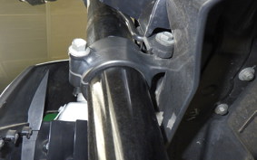 KAWASAKI KLX250D TRACKER X LX250V