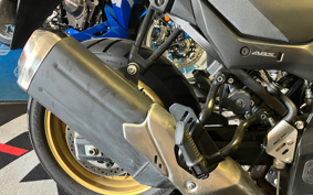 SUZUKI DL650 ( V-Strom 650 ) 2017 C733A