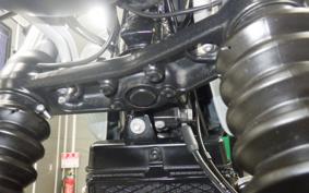 TRIUMPH SCRAMBLER 900 2023