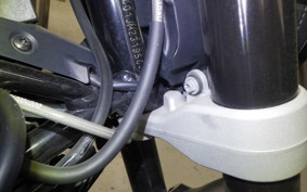 HUSQVARNA SVARTPILEN 401 2018