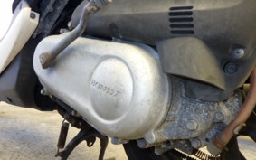 HONDA CREA SCOOPY AF55