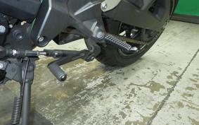 KAWASAKI ZH2 2020 ZRT00K