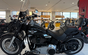 HARLEY FLSTFB 2010 JN5