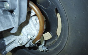 HONDA ZOOMER 2024 AF58