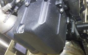 TRIUMPH TRIDENT 660 2024