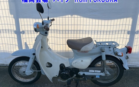 OTHER  LITTLE CUB -E FI