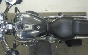 HARLEY FLSTFI1920 2025