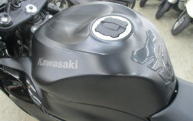 KAWASAKI NINJA ZX-6R 2024 ZX636J