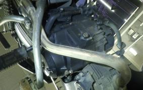 HONDA LITTLE CUB E 2020 AA01