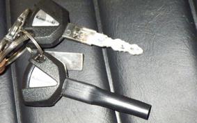 KAWASAKI W800 2022 EJ800E