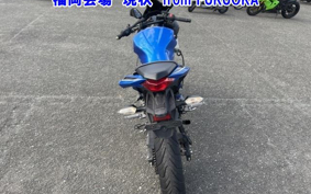 KAWASAKI NINJA 250 ABS