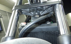 HONDA REBEL 250 2018 MC49