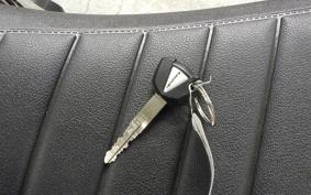 KAWASAKI Z900RS CAFE 2025