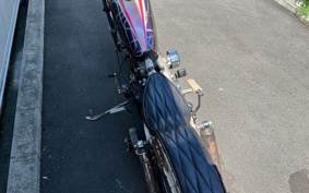 HARLEY FXE1200 2024 445