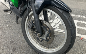 KAWASAKI VERSYS-X 250 TOURER LE250D